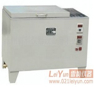 现货ZSX-51砖瓦爆裂蒸煮箱，新标准砖瓦爆裂专用蒸煮箱价格